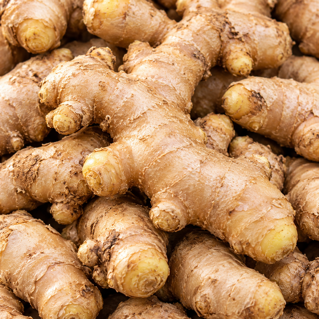 আদা/ Ginger